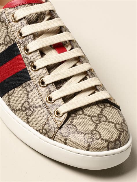 ace shoes Gucci